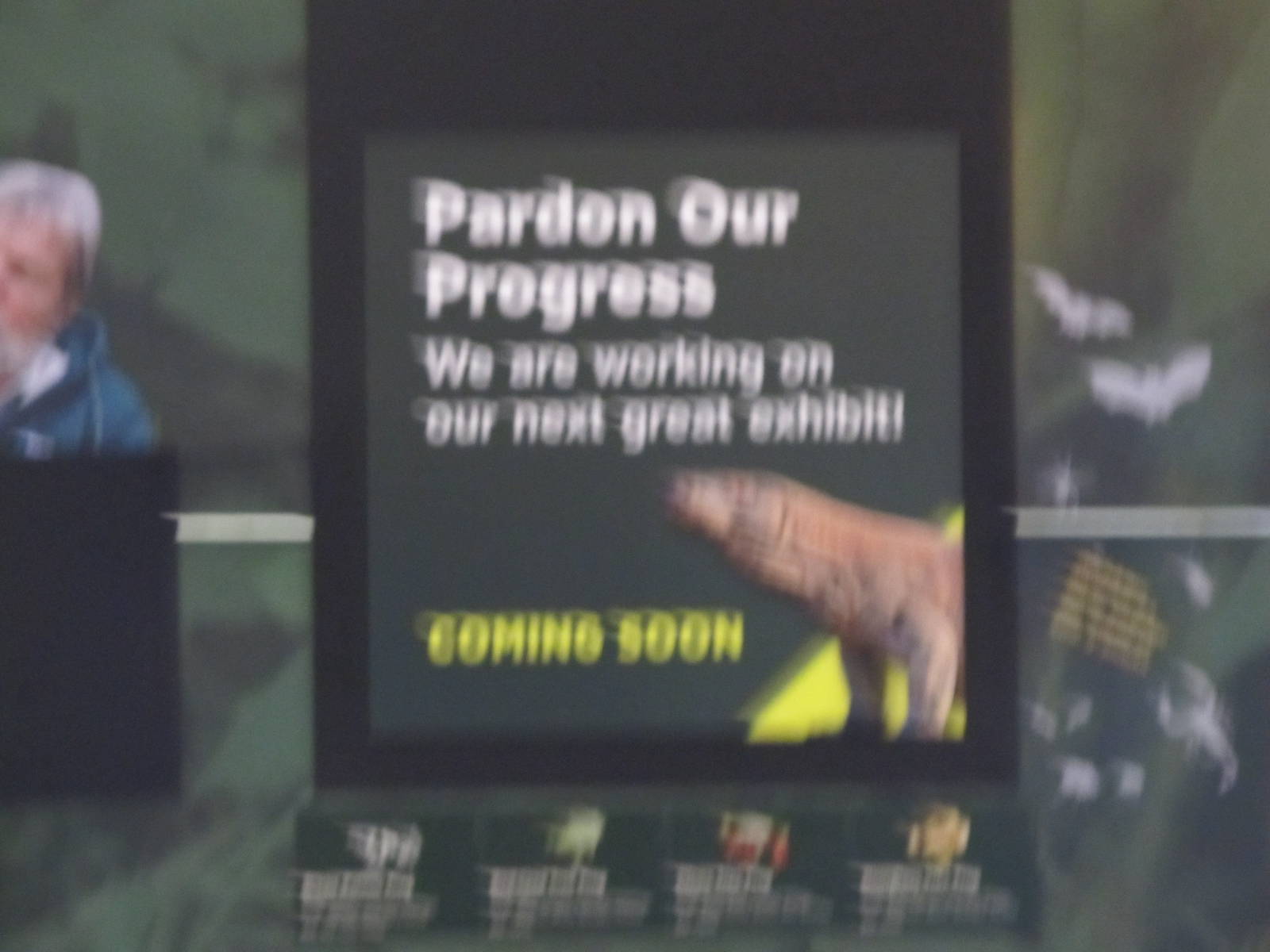 Bronx Zoo- Komodo Dragons?