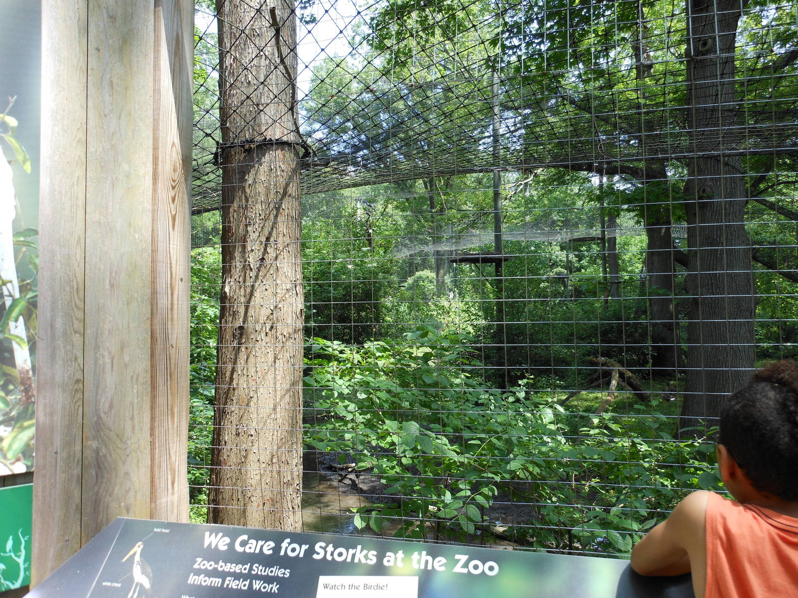 Bronx Zoo- Lesser Adjutant Stork Aviary Outside Aquatic Bird House
