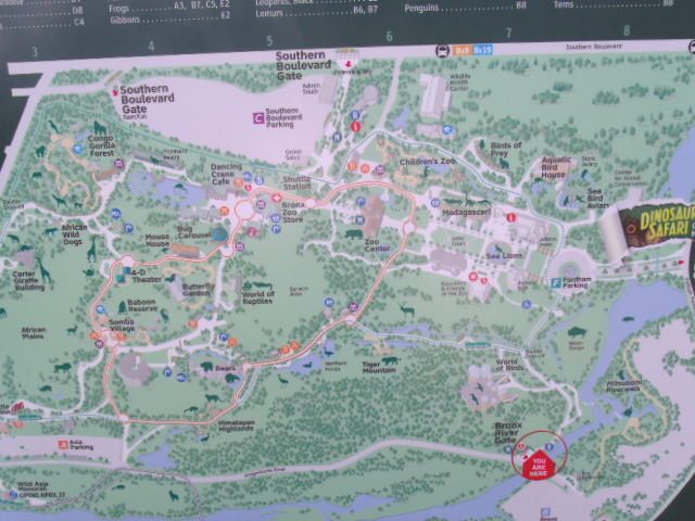 Bronx Zoo Map