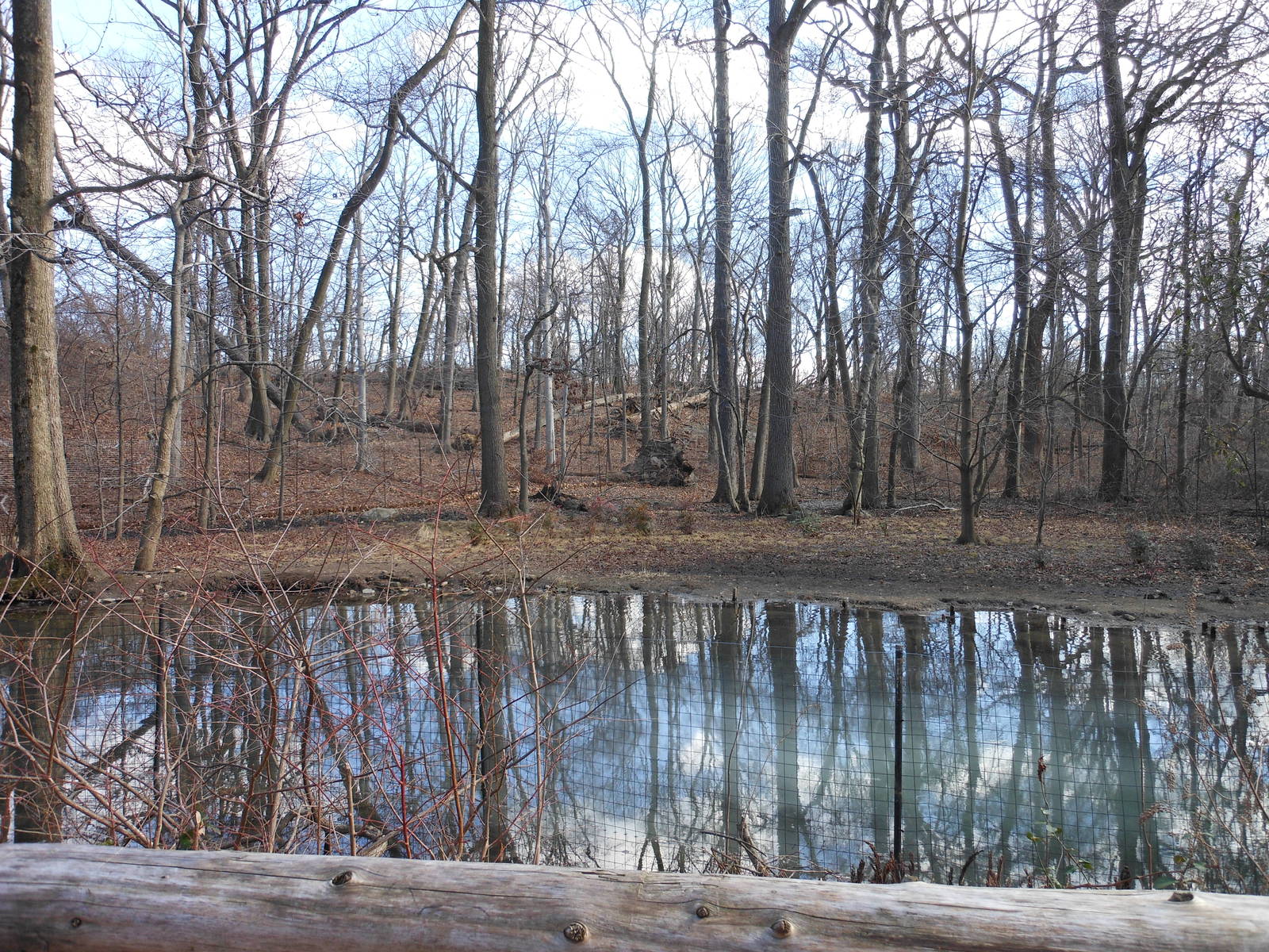Bronx Zoo- Northern Ponds- Part 1 of Black-necked Crane Exhibit