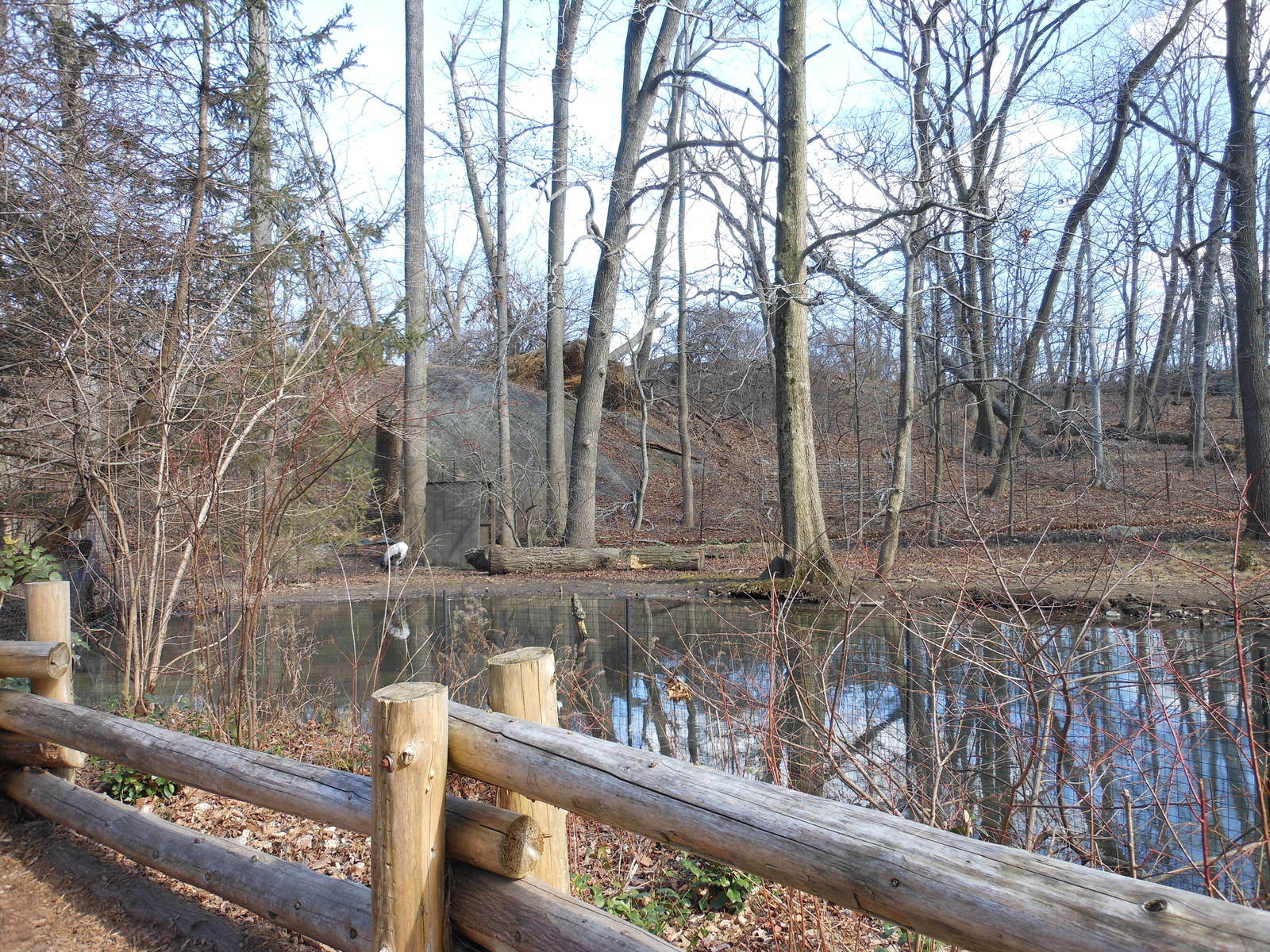 Bronx Zoo- Northern Ponds- Part 2 of Black-necked Crane Exhibit
