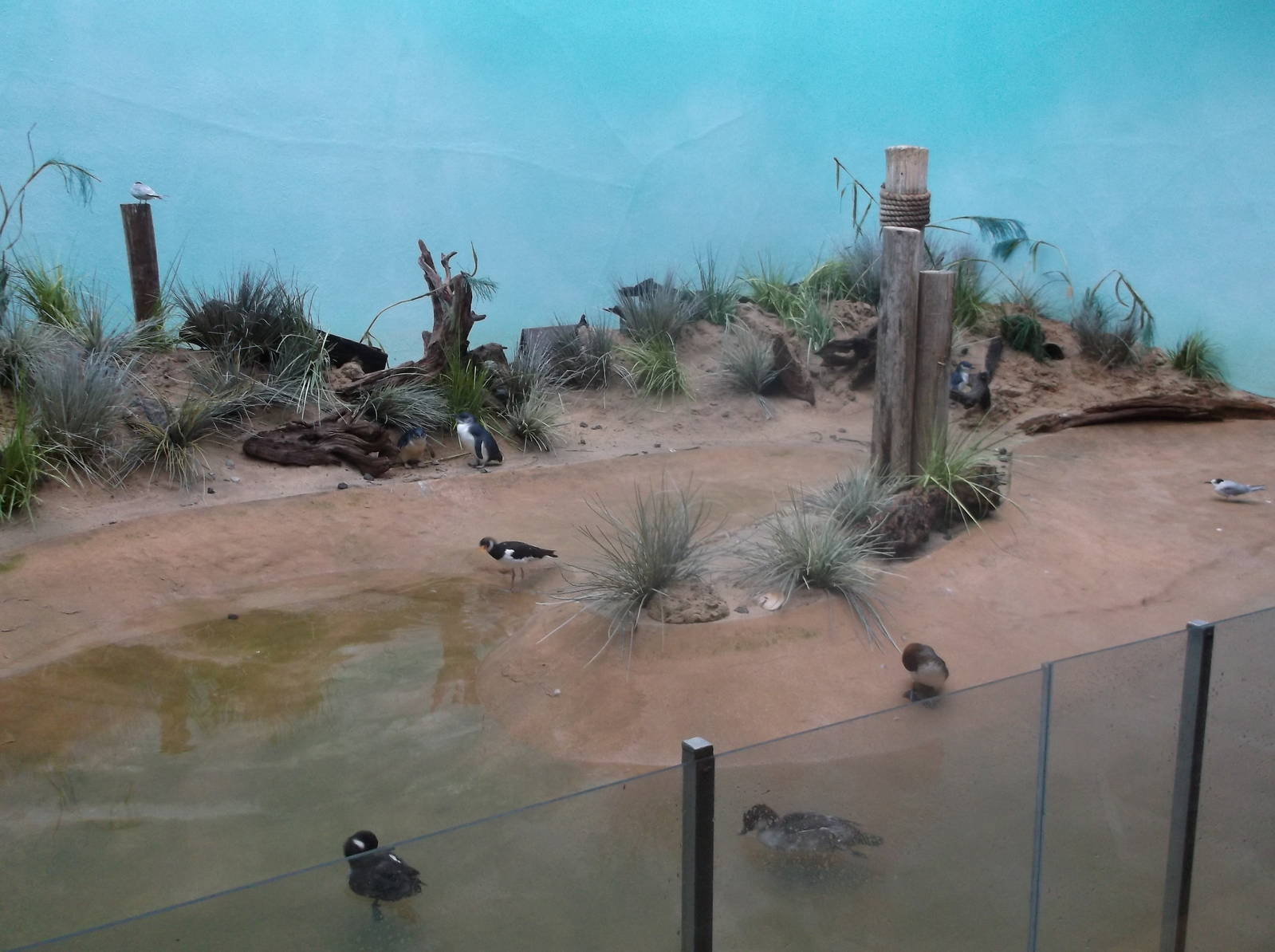 Bronx Zoo: October 2016