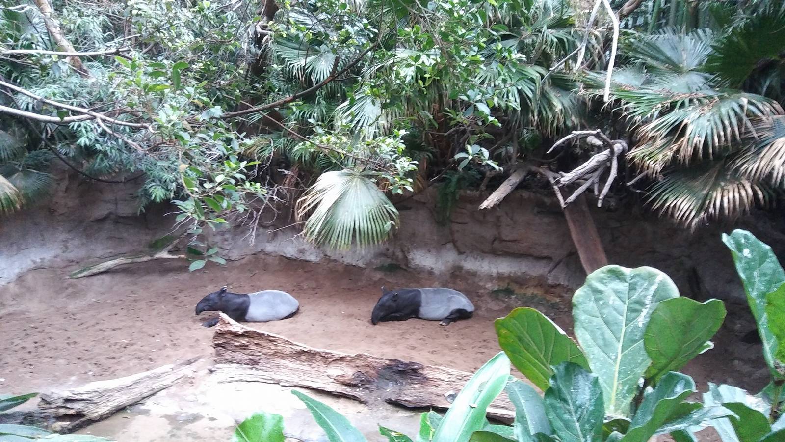 Bronx Zoo: October 2016