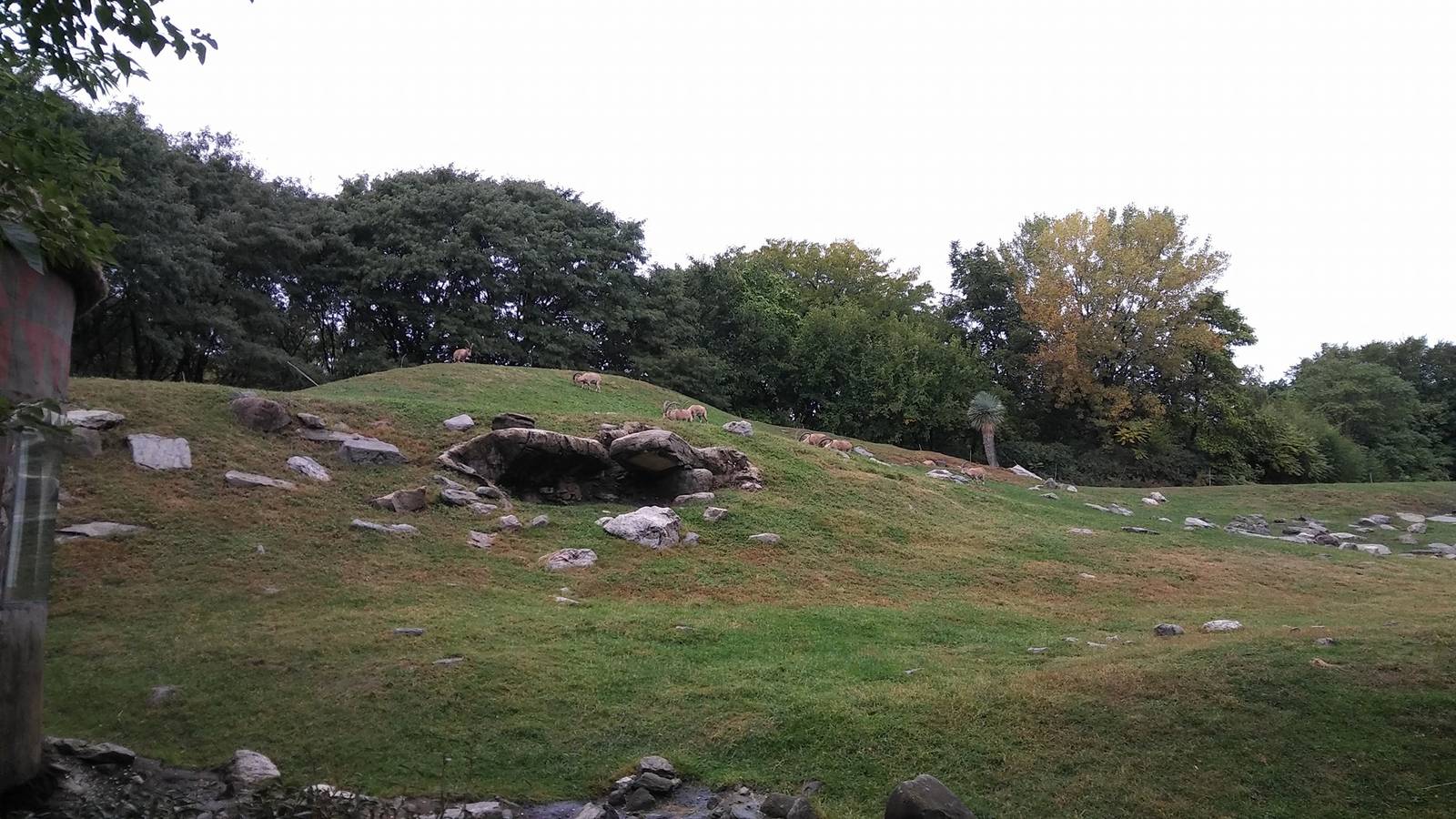 Bronx Zoo: October 2016