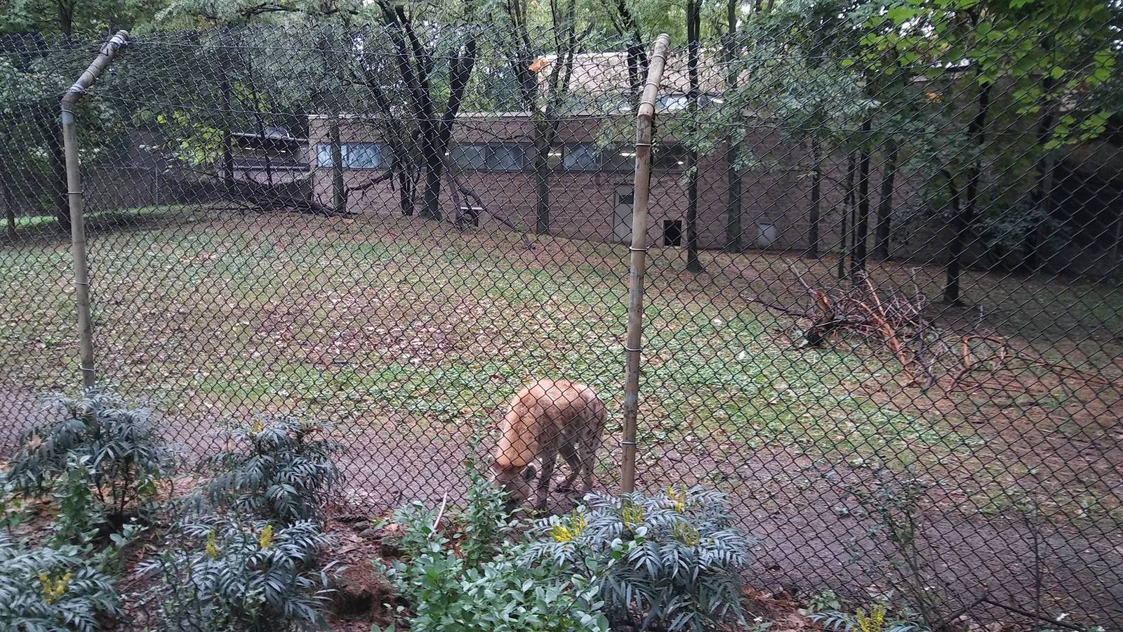 Bronx Zoo: October 2016