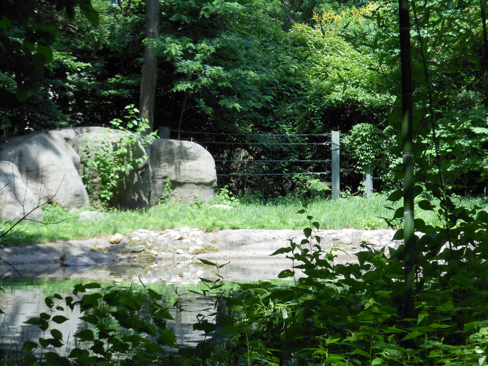 Bronx Zoo- Old Asian Elephant Exhibit Outside Zoo Center
