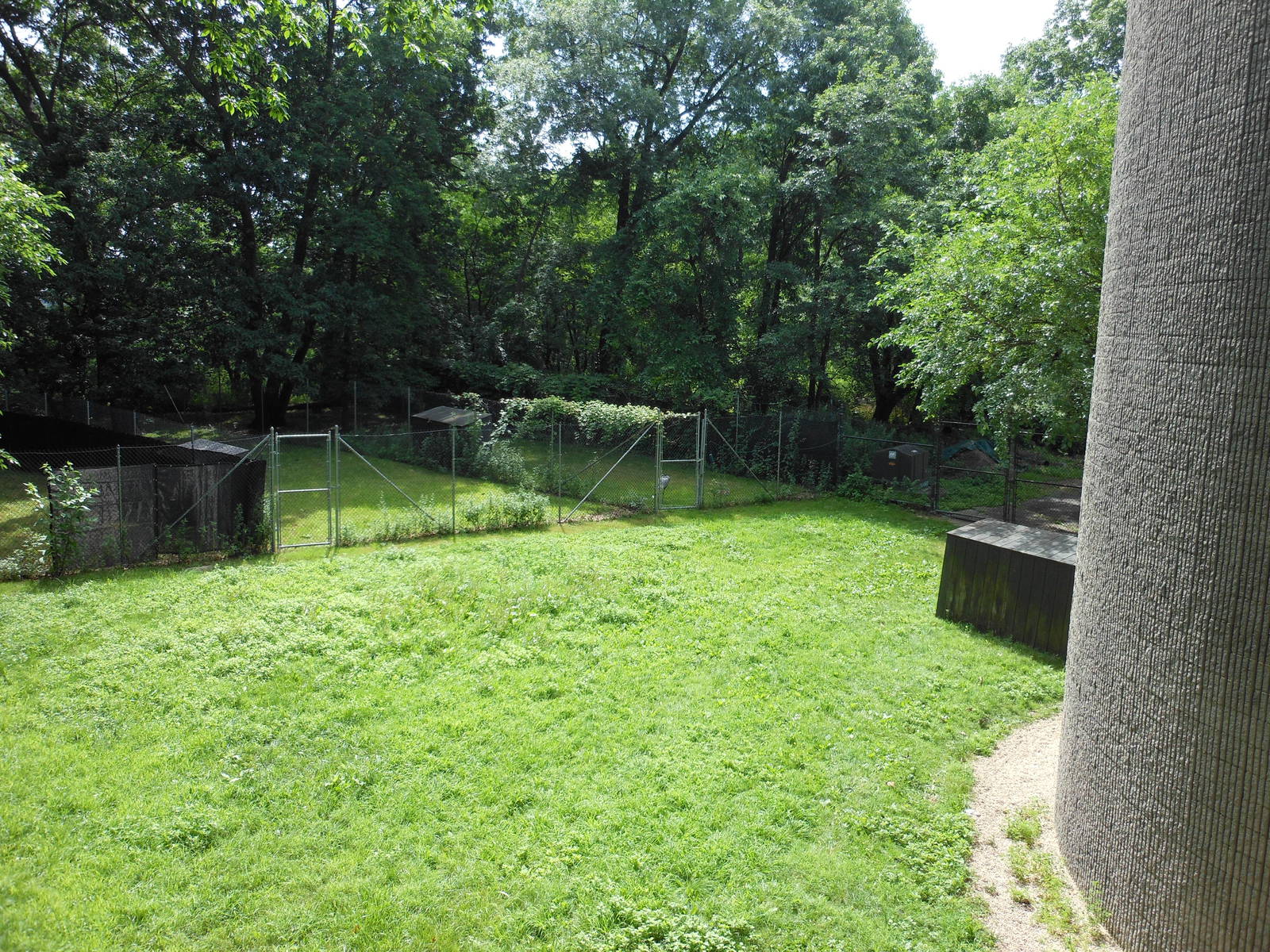 Bronx Zoo- Part 2 of White-naped Crane Exhibit Outside World of Birds