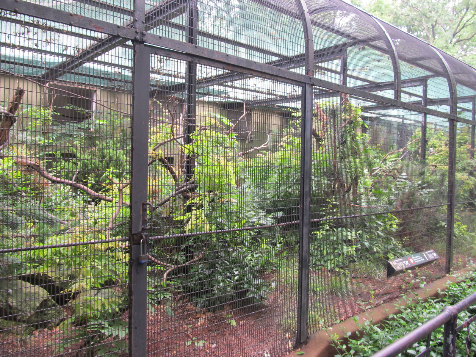 Bronx Zoo- Pheasant Aviarys