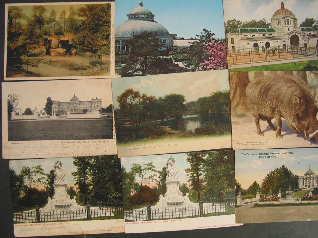 Bronx Zoo postcards