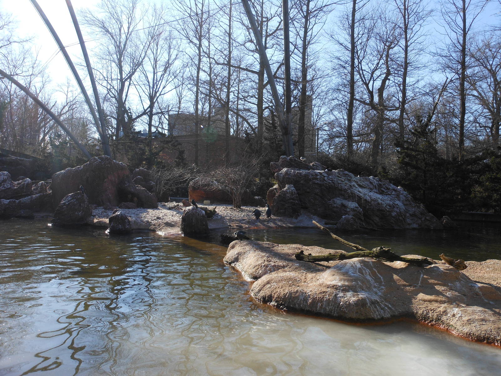 Bronx Zoo- Sea Bird Aviary- General View (In the Winter)