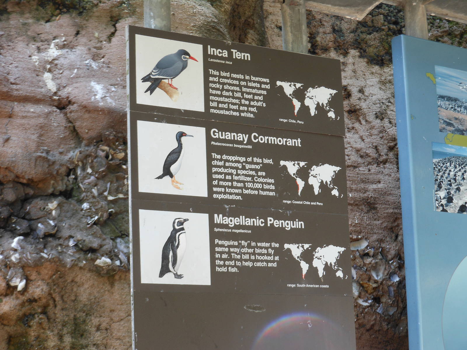 Bronx Zoo- Sea Bird Aviary Signage Part 1