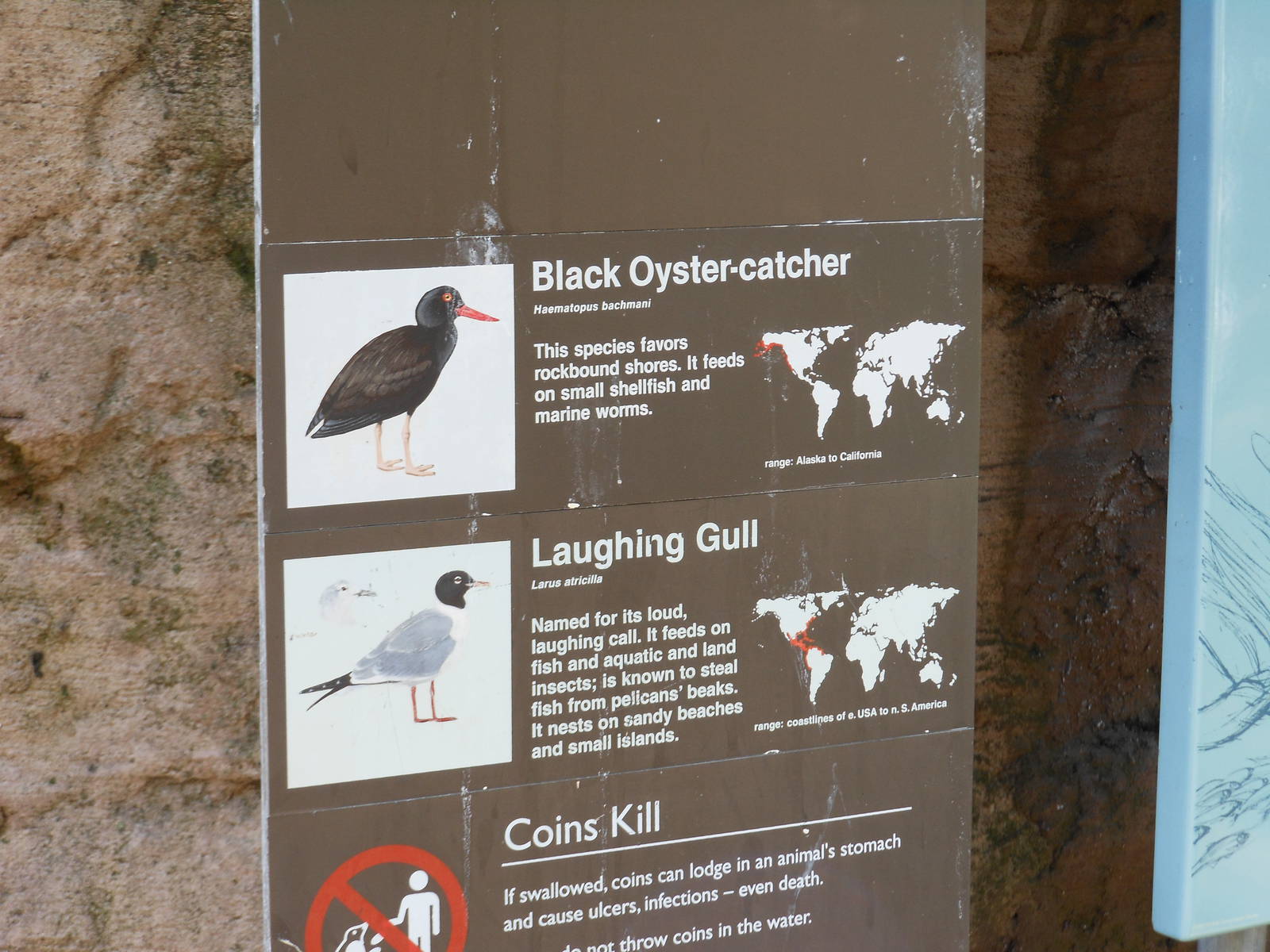 Bronx Zoo- Sea Bird Aviary Signage Part 2