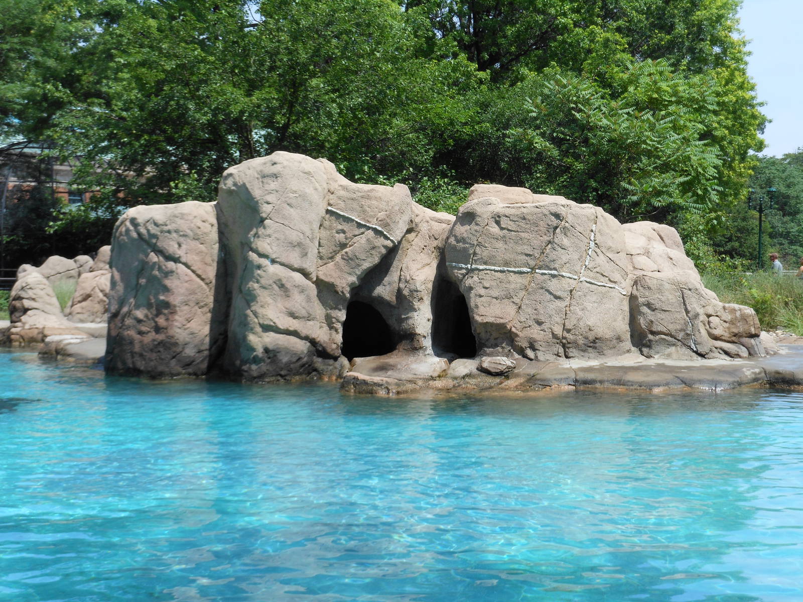 Bronx Zoo- Sea Lion Pool @ Astor Court