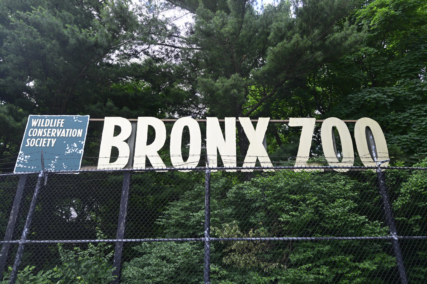Bronx Zoo - Sign