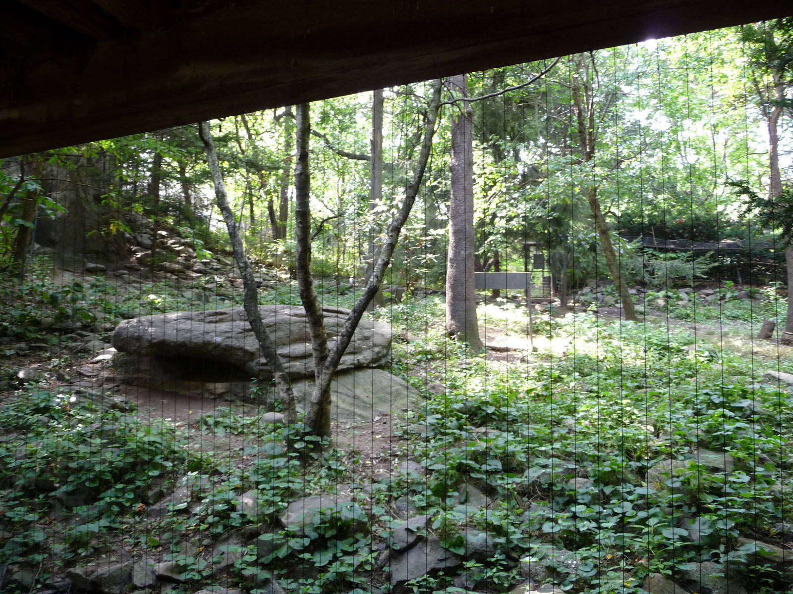 Bronx Zoo - Snow Leopard Habitat