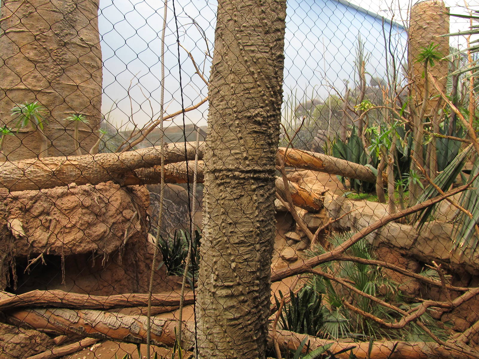 Bronx Zoo- Spiny Forest Exhibit