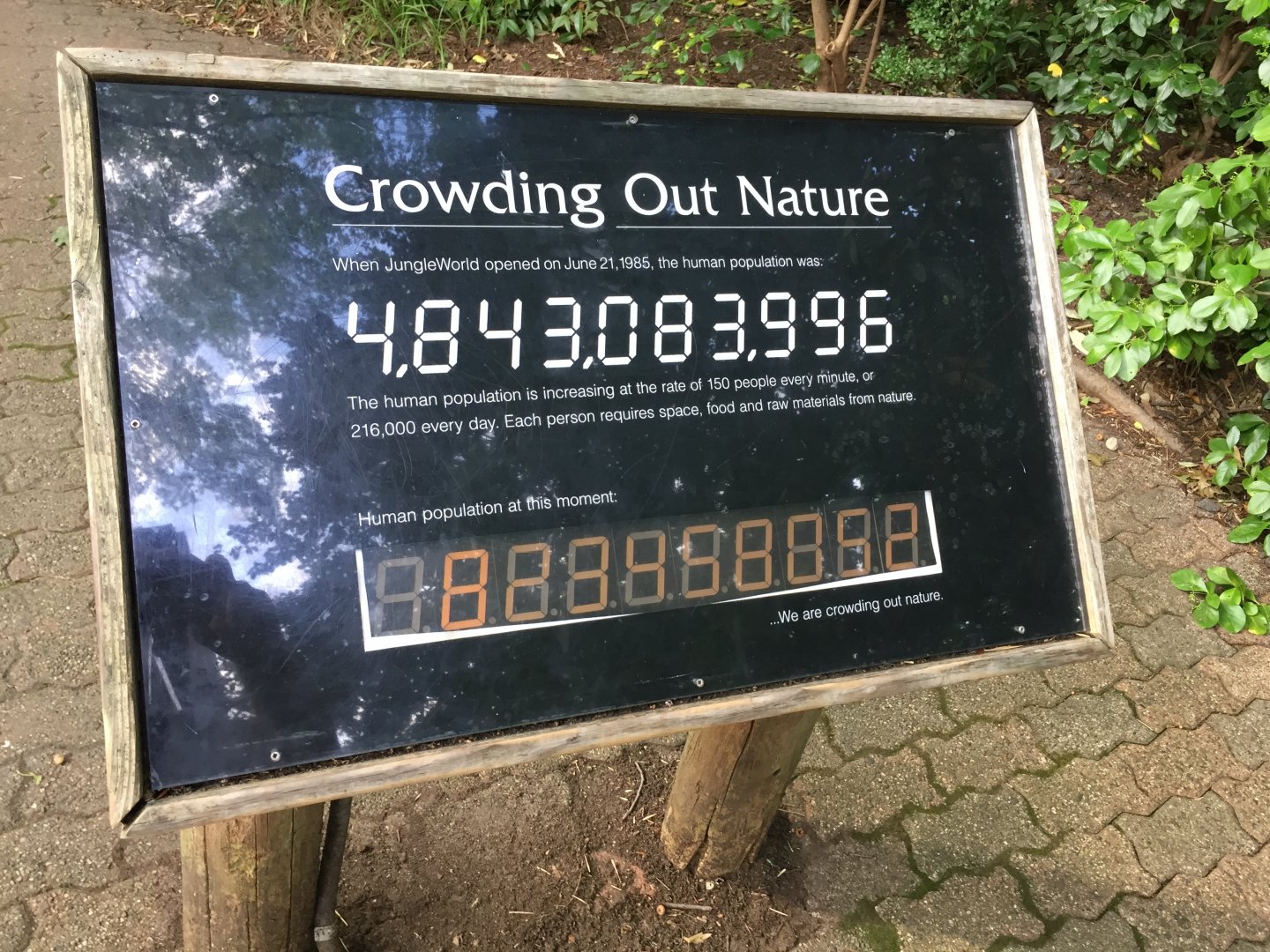 Bronx Zoo tattiness, July 2019