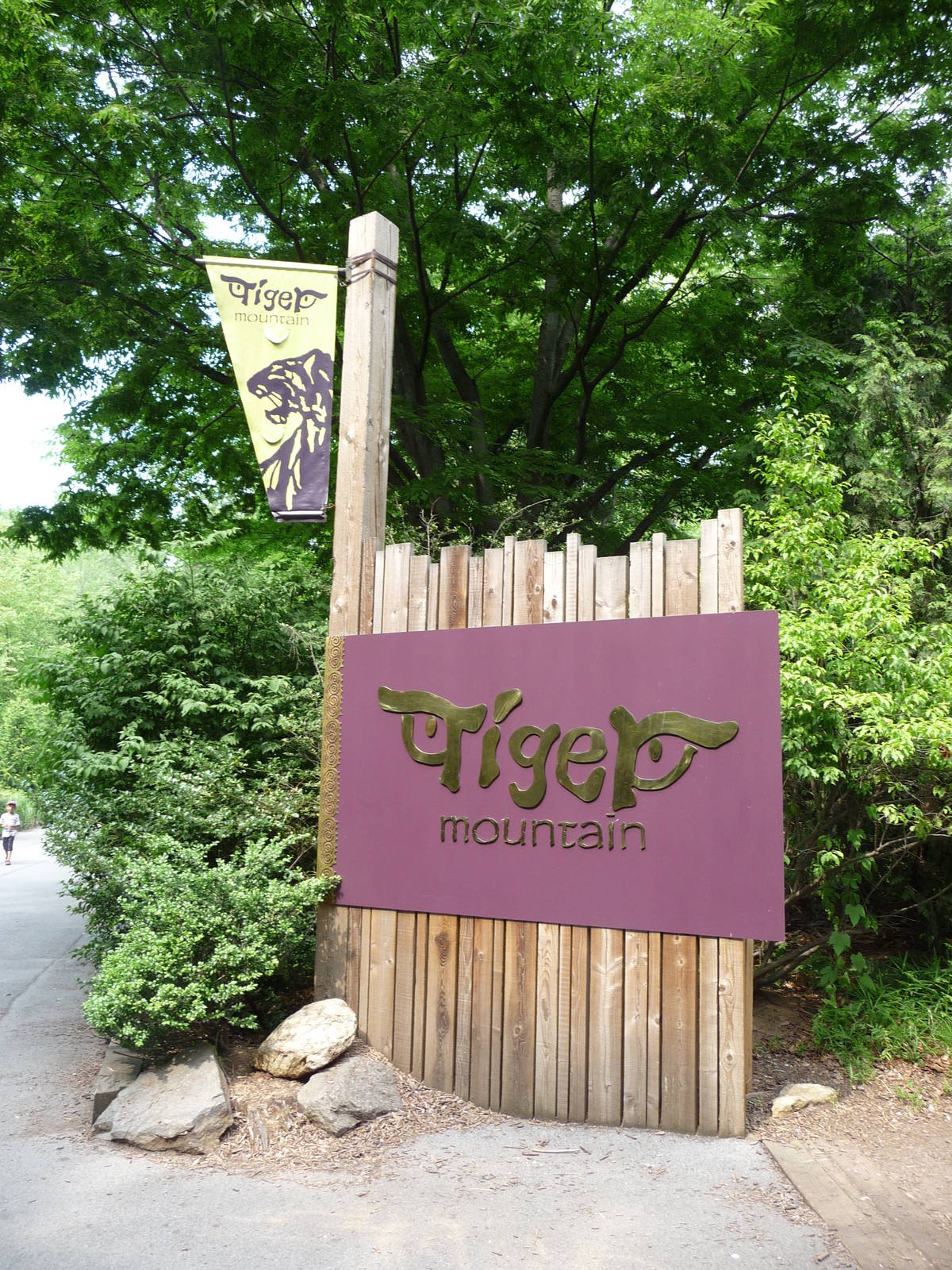 Bronx Zoo - Tiger Mountain