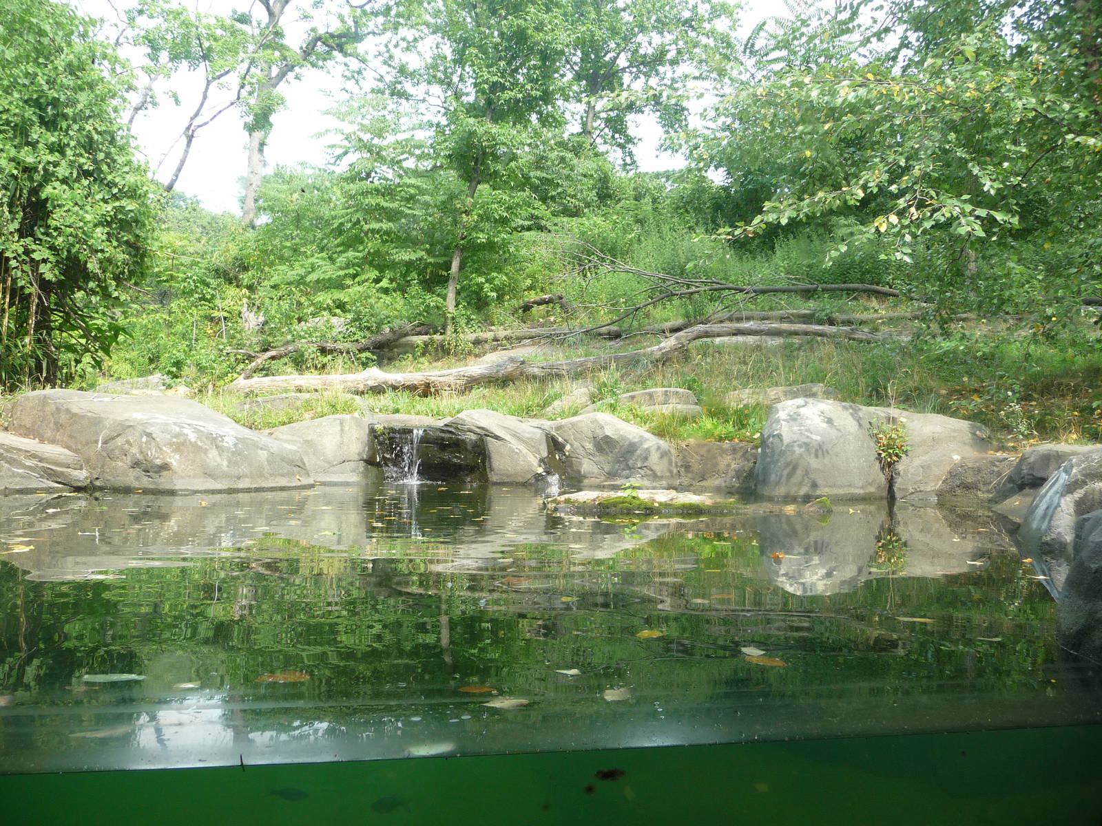 Bronx Zoo - Tiger Mountain