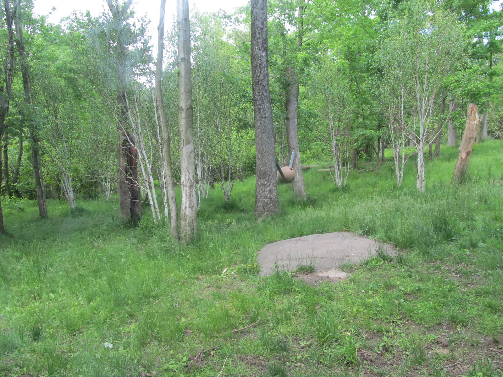 Bronx Zoo- Tiger Mountain