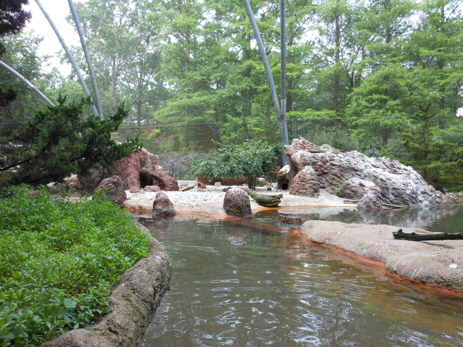 Bronx Zoo- View Inside Sea Bird Aviary 2