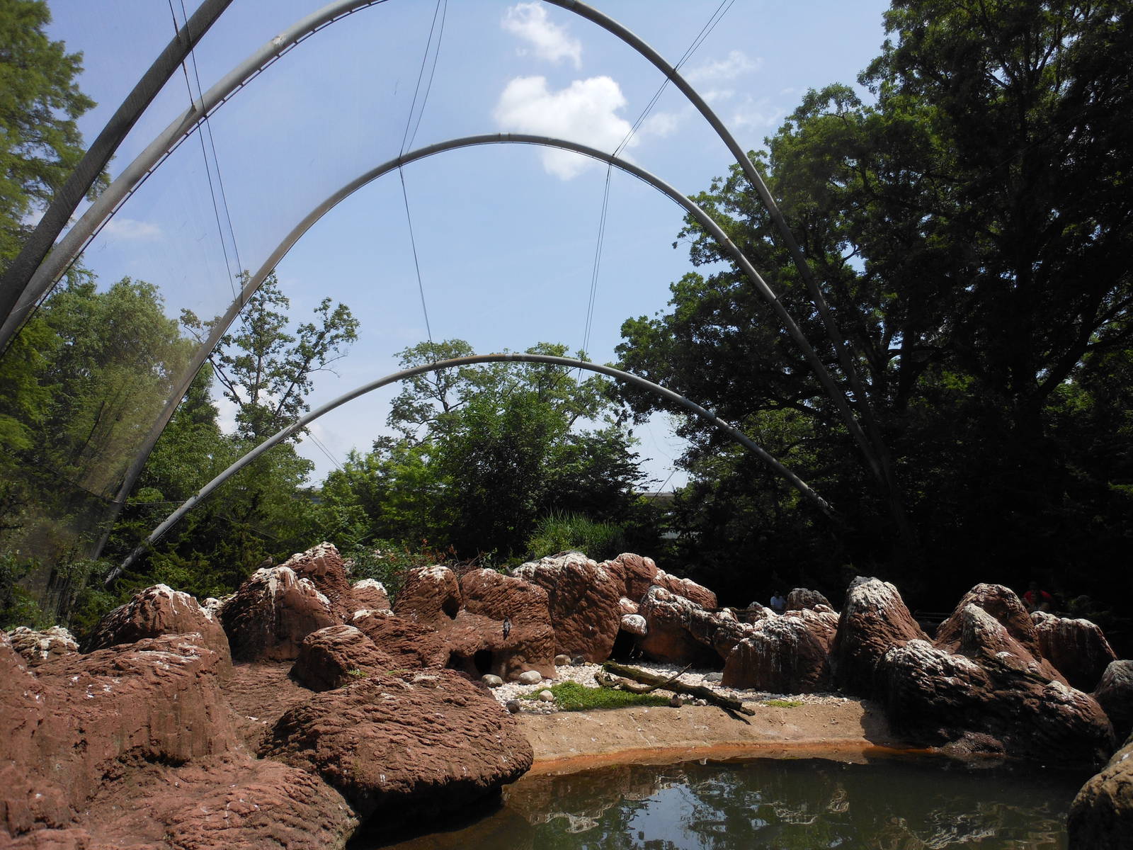 Bronx Zoo- View Inside Sea Bird Aviary 3