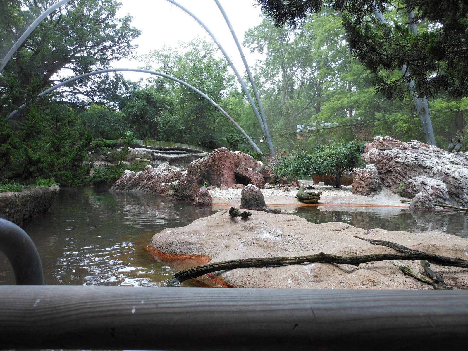 Bronx Zoo- View Inside Sea Bird Aviary