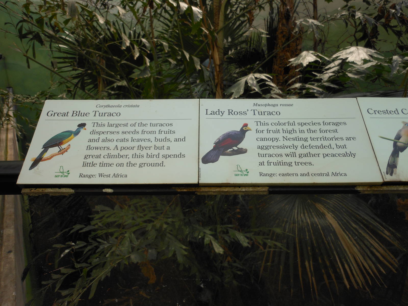 Bronx Zoo- World of Birds- Rainforest Room Signage 1