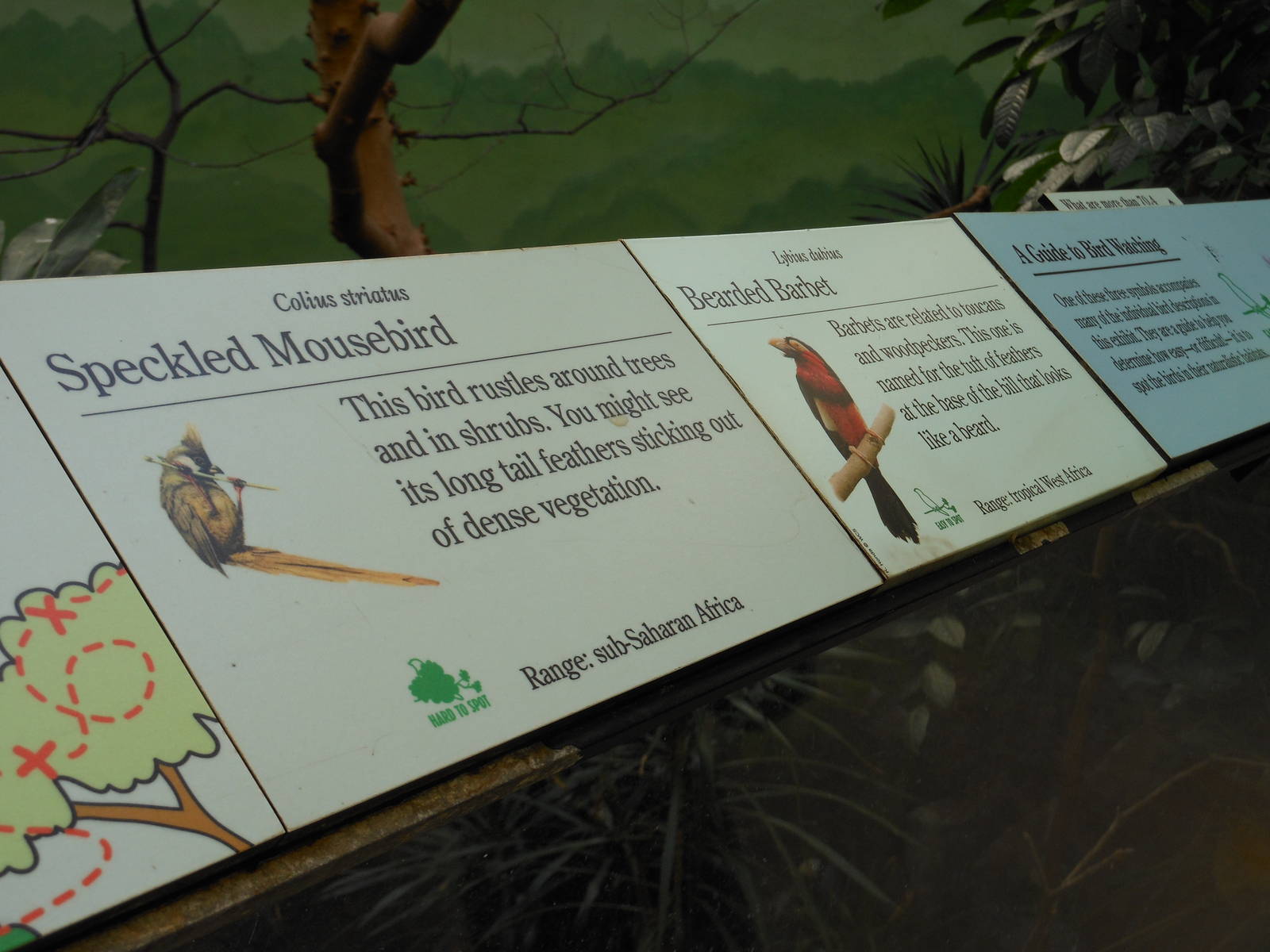 Bronx Zoo- World of Birds- Rainforest Room Signage 3