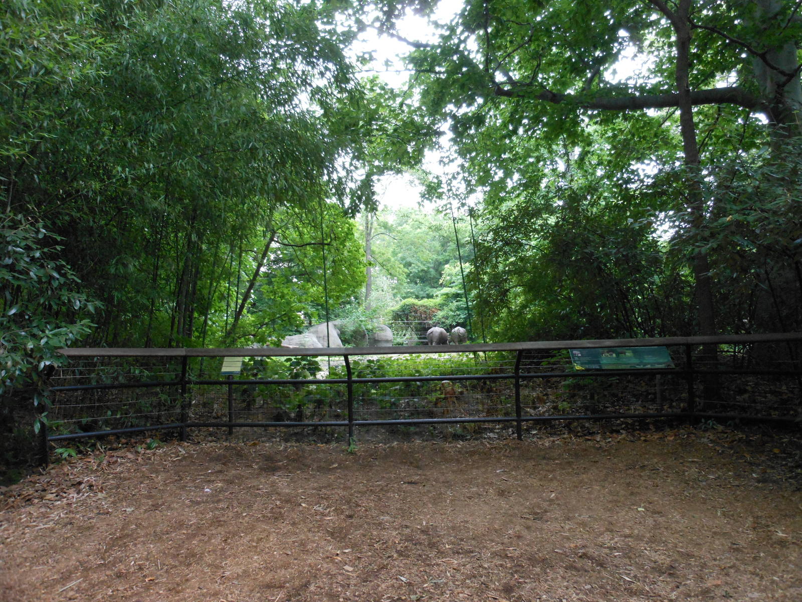 Bronx Zoo- Zoo Center- White Rhinoceros Exhibit Viewing