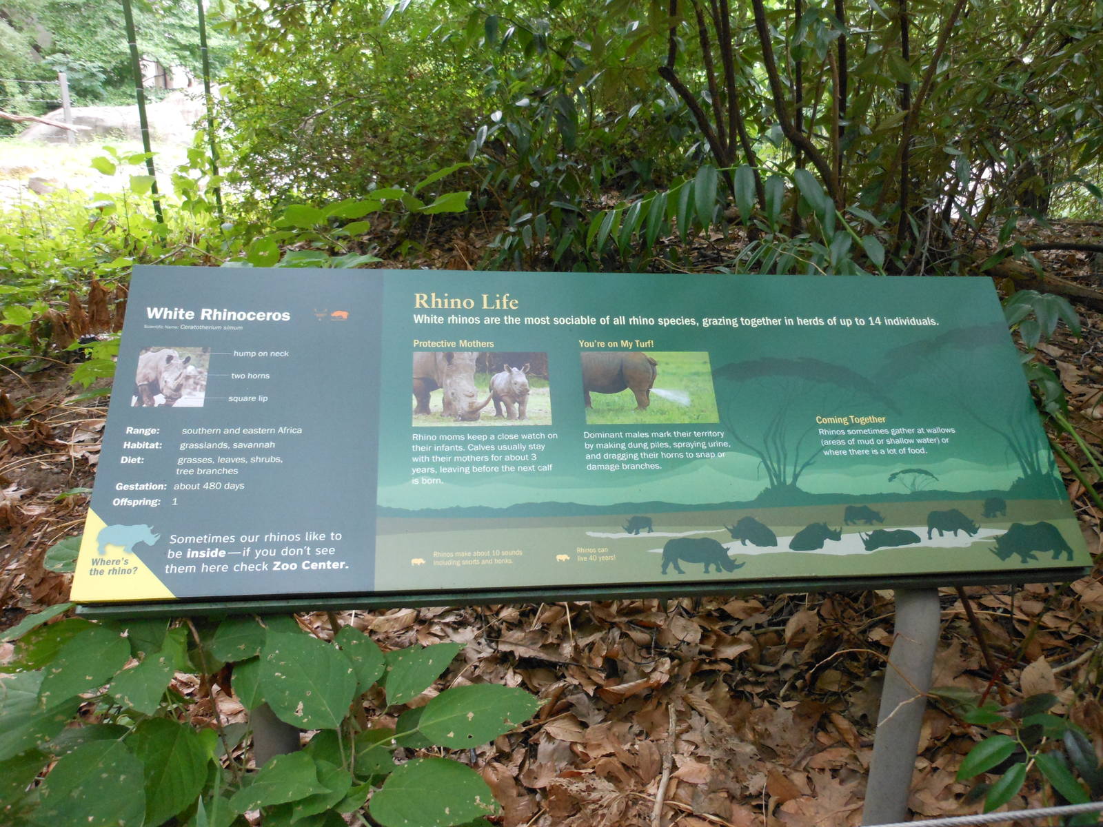 Bronx Zoo- Zoo Center- White Rhinoceros Signage 1