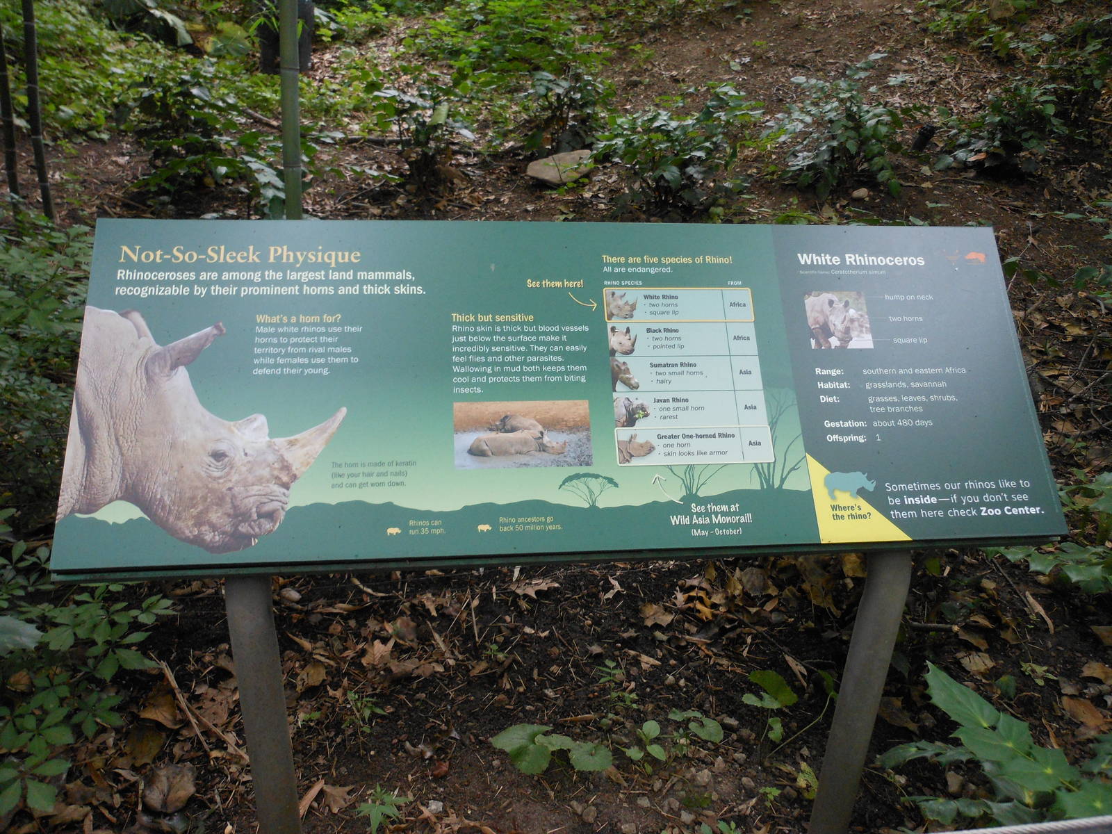 Bronx Zoo- Zoo Center- White Rhinoceros Signage 2