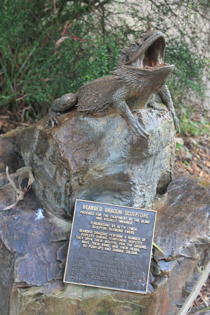 bronze Bearded Dragon sculpture for blind people to touch