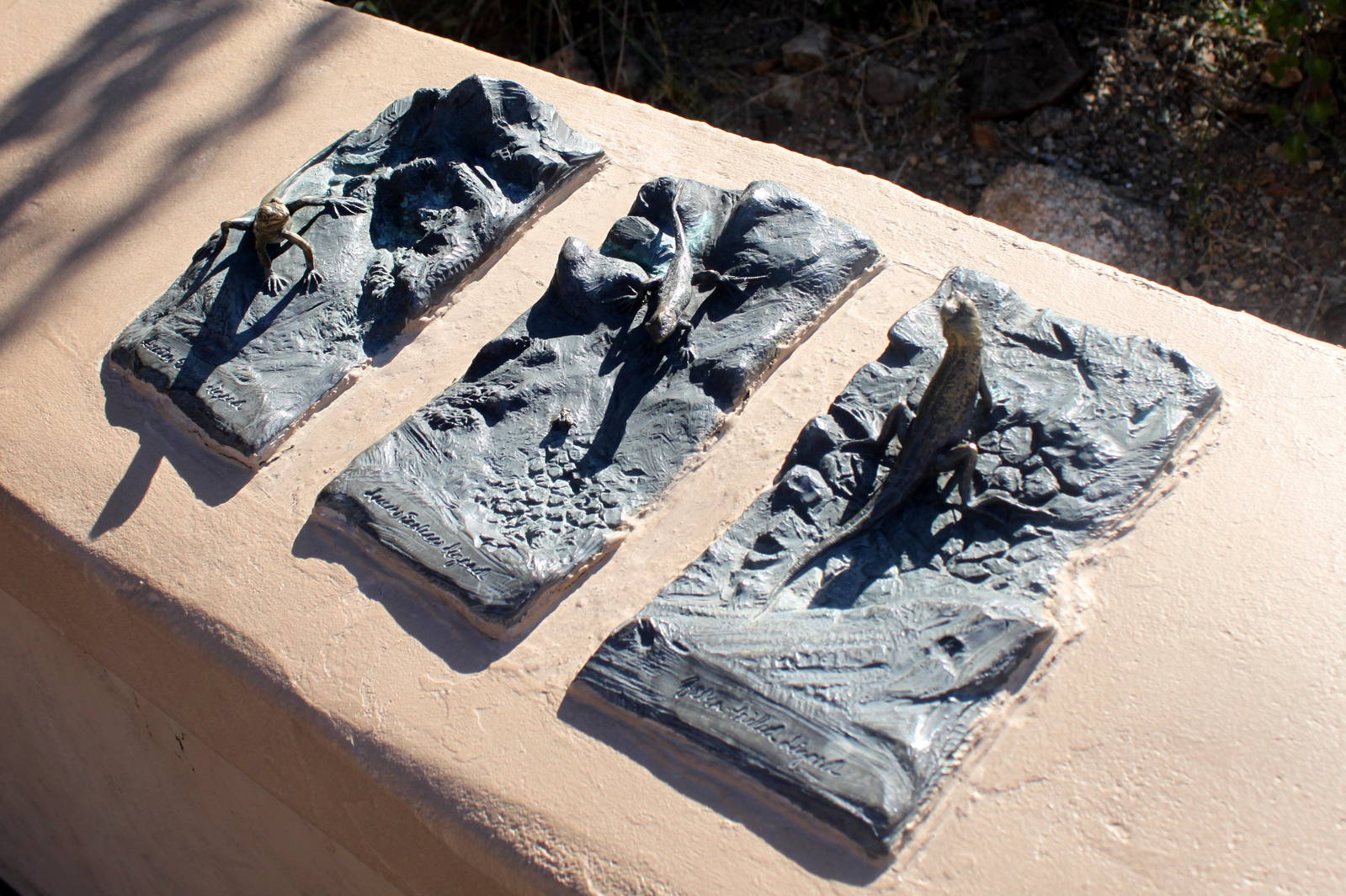 Bronze Signage for Lizard Exhibit