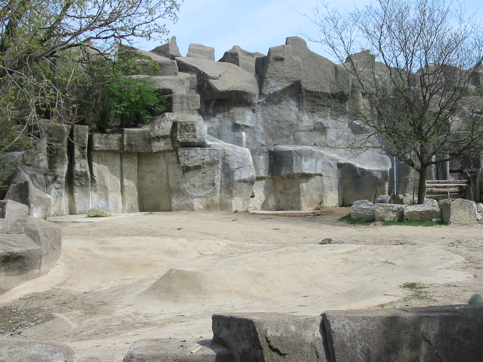 Brookfield Zoo 2003 - Black Rhinoceros exhibit at the Pachyderm House