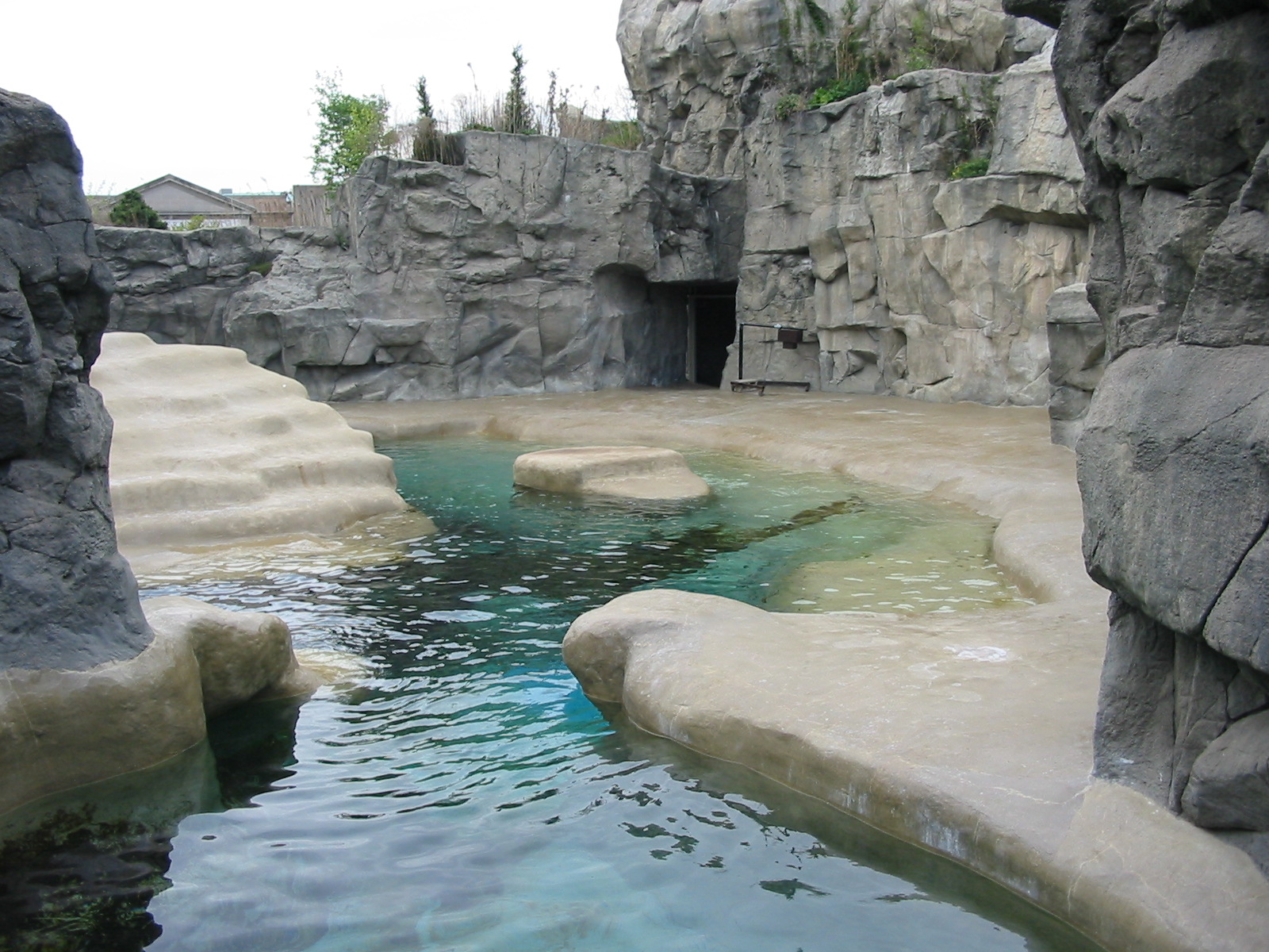 Brookfield Zoo 2003 - California Sea Lion pool in the Pinniped Point