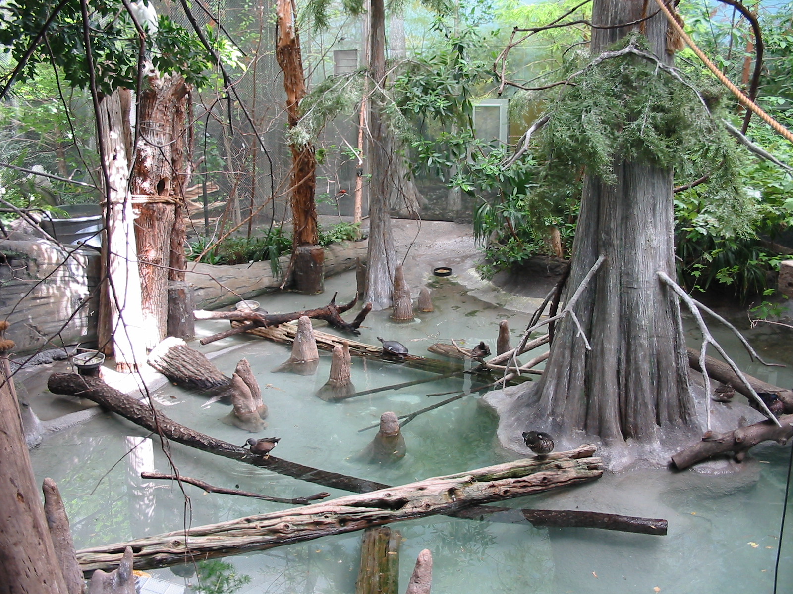 Brookfield Zoo 2003 - Exhibit in the Swamp