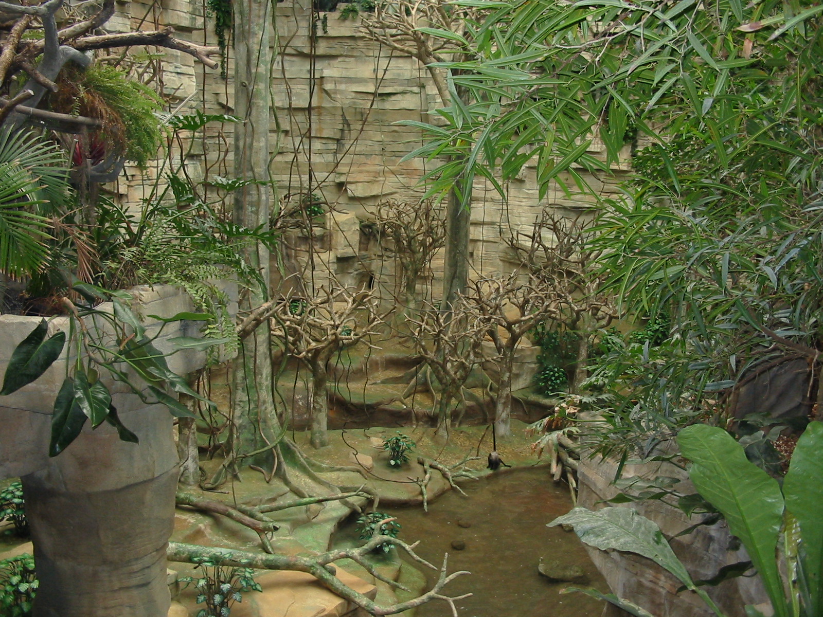 Brookfield Zoo 2003 - Exhibit in Tropic World