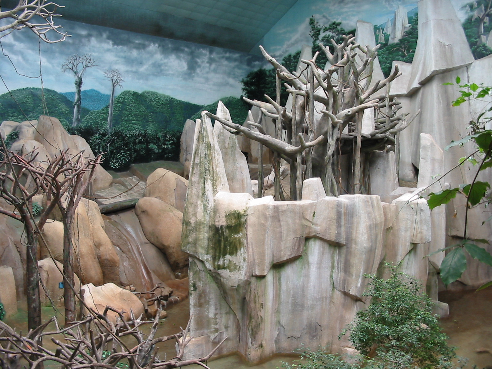 Brookfield Zoo 2003 - Orangutan exhibit in Tropic World