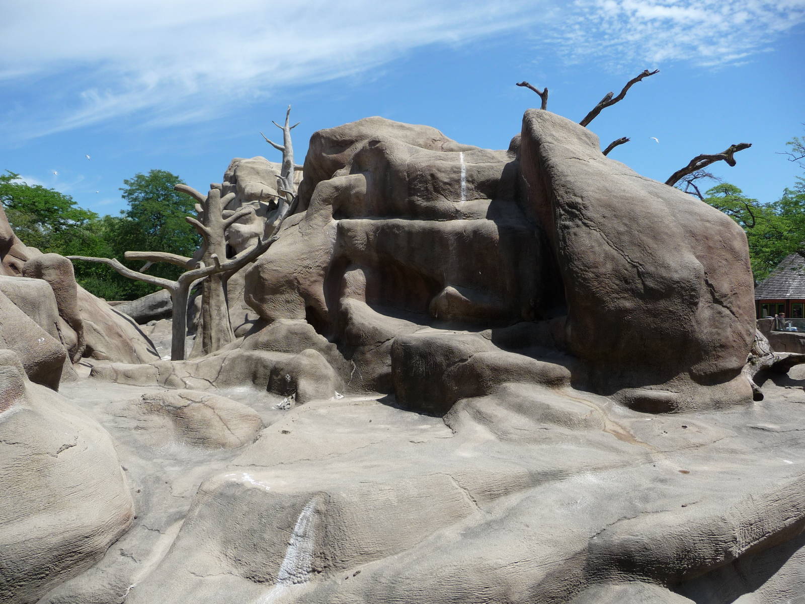 Brookfield Zoo - Baboon Island