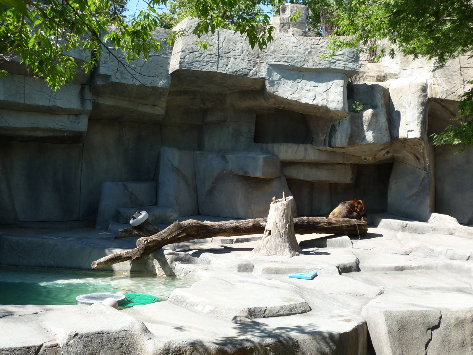 Brookfield Zoo - Grizzly Bear Exhibit