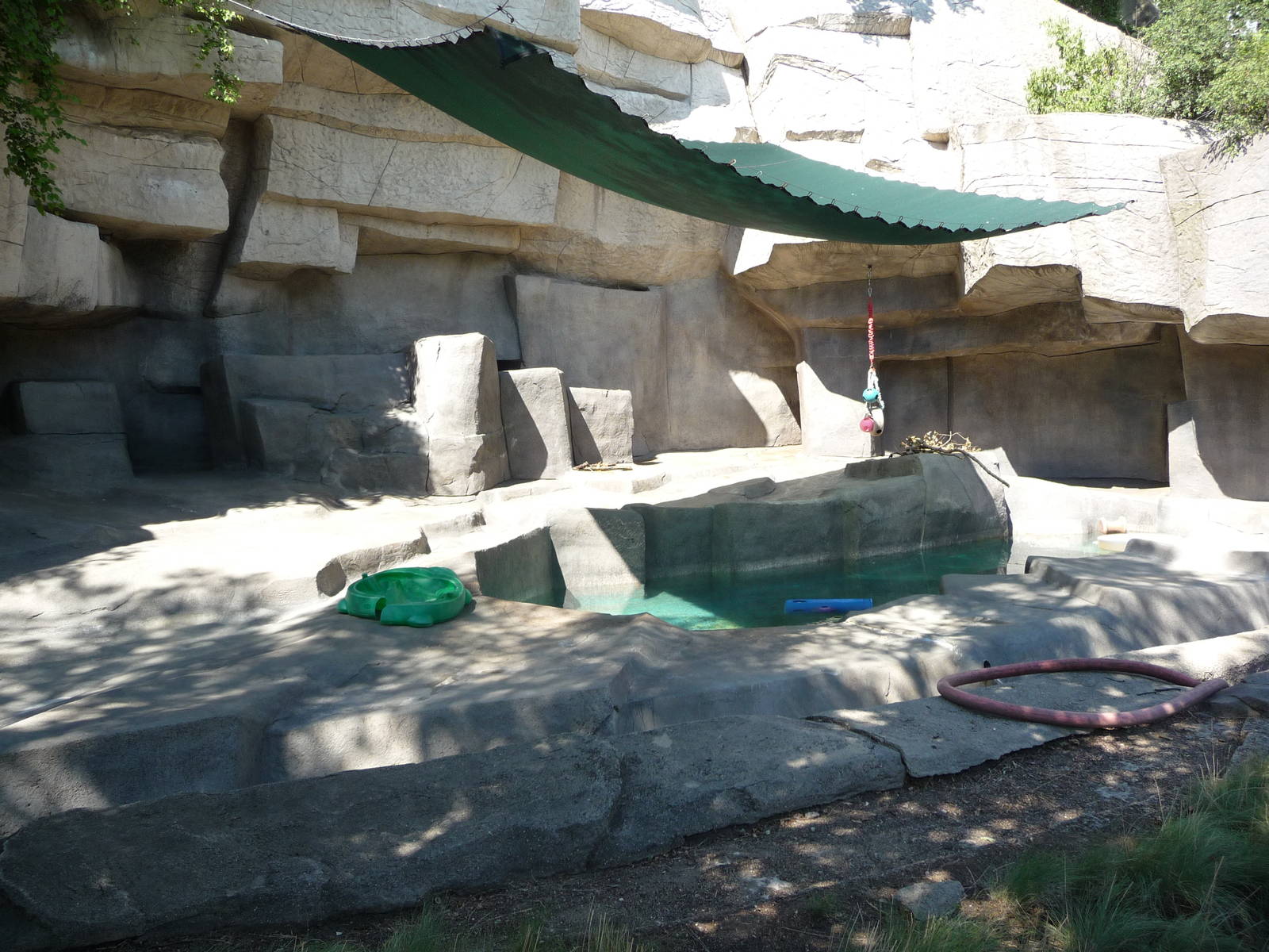 Brookfield Zoo - Polar Bear Exhibit