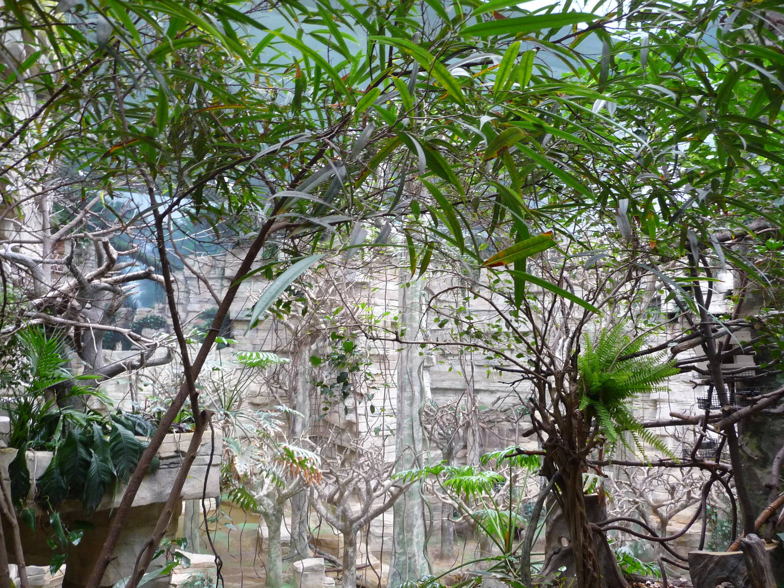 Brookfield Zoo - Tropic World