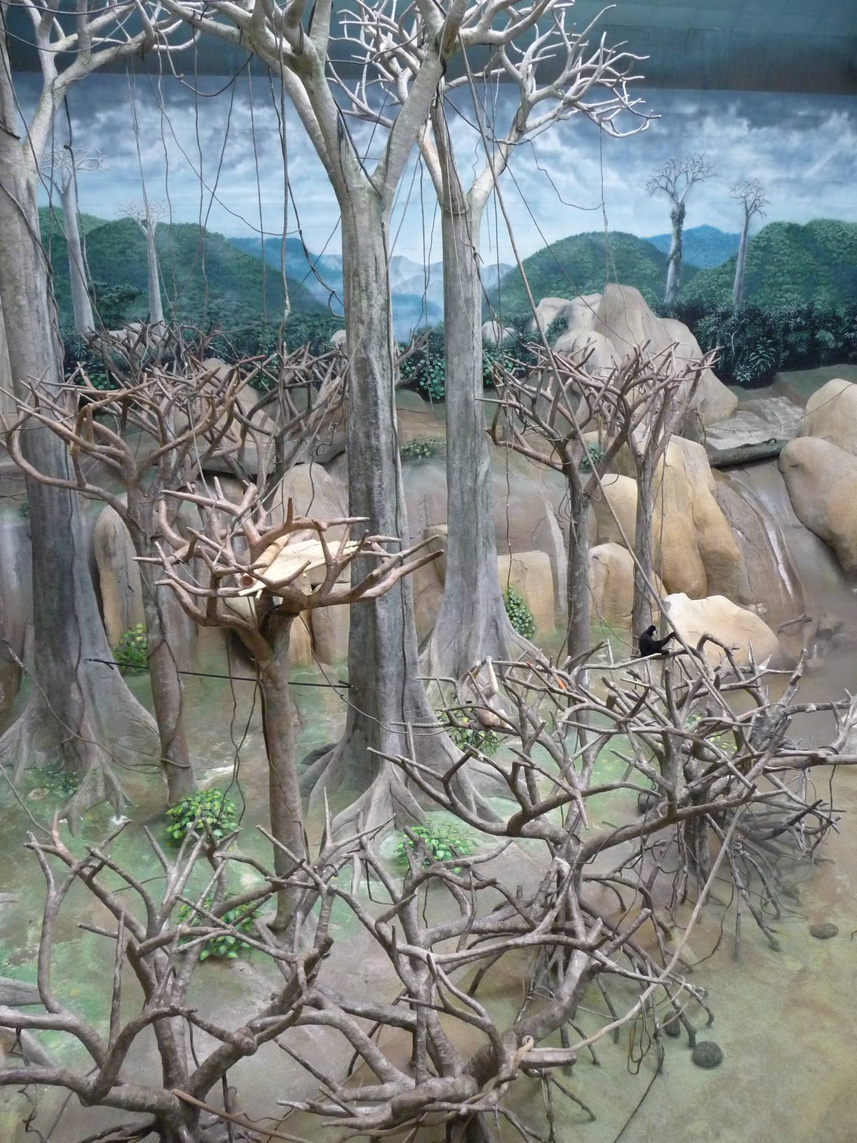 Brookfield Zoo - Tropic World