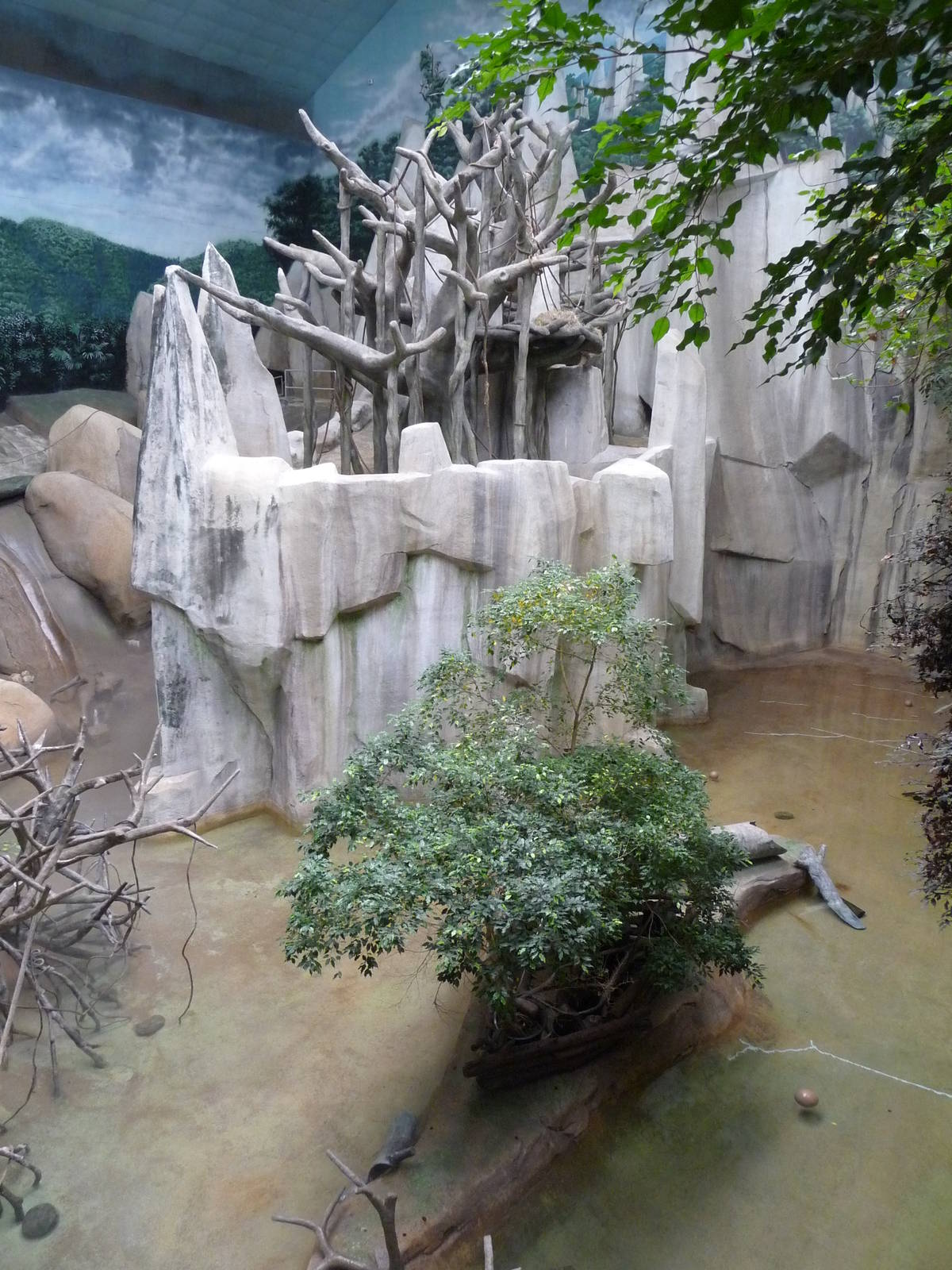 Brookfield Zoo - Tropic World