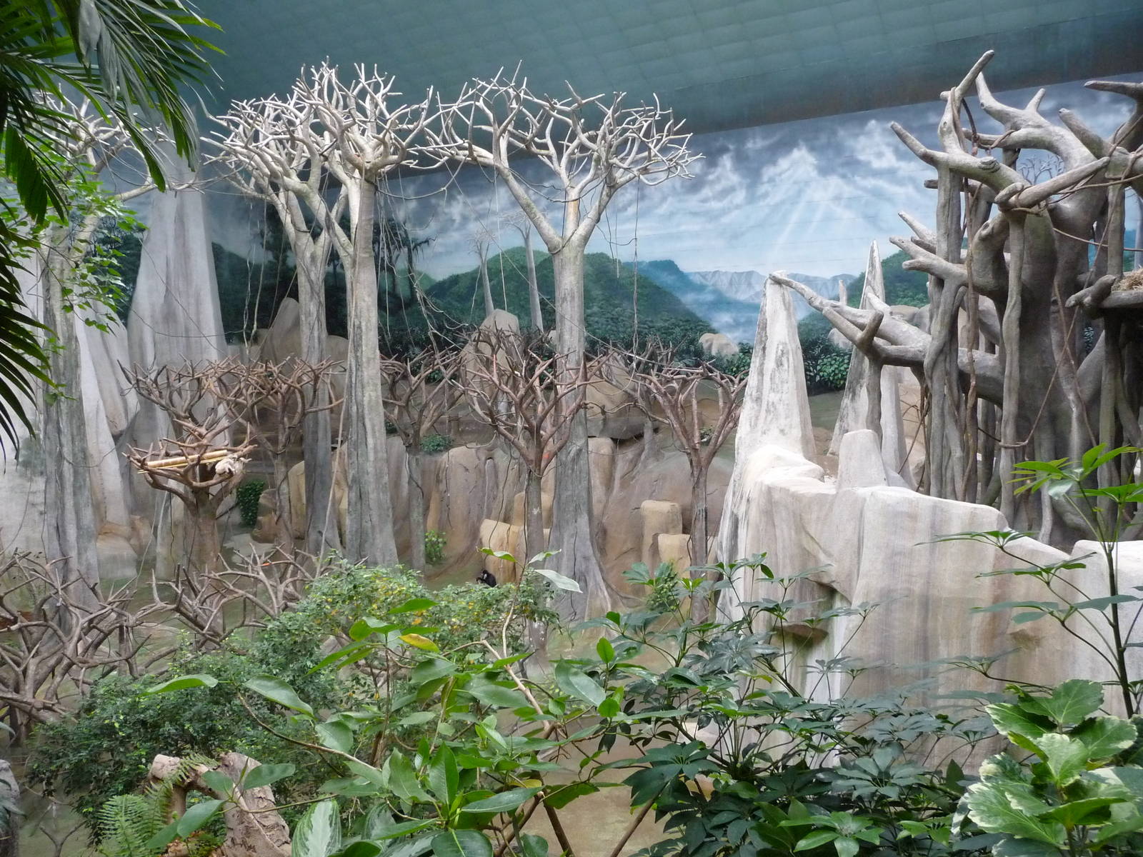 Brookfield Zoo - Tropic World