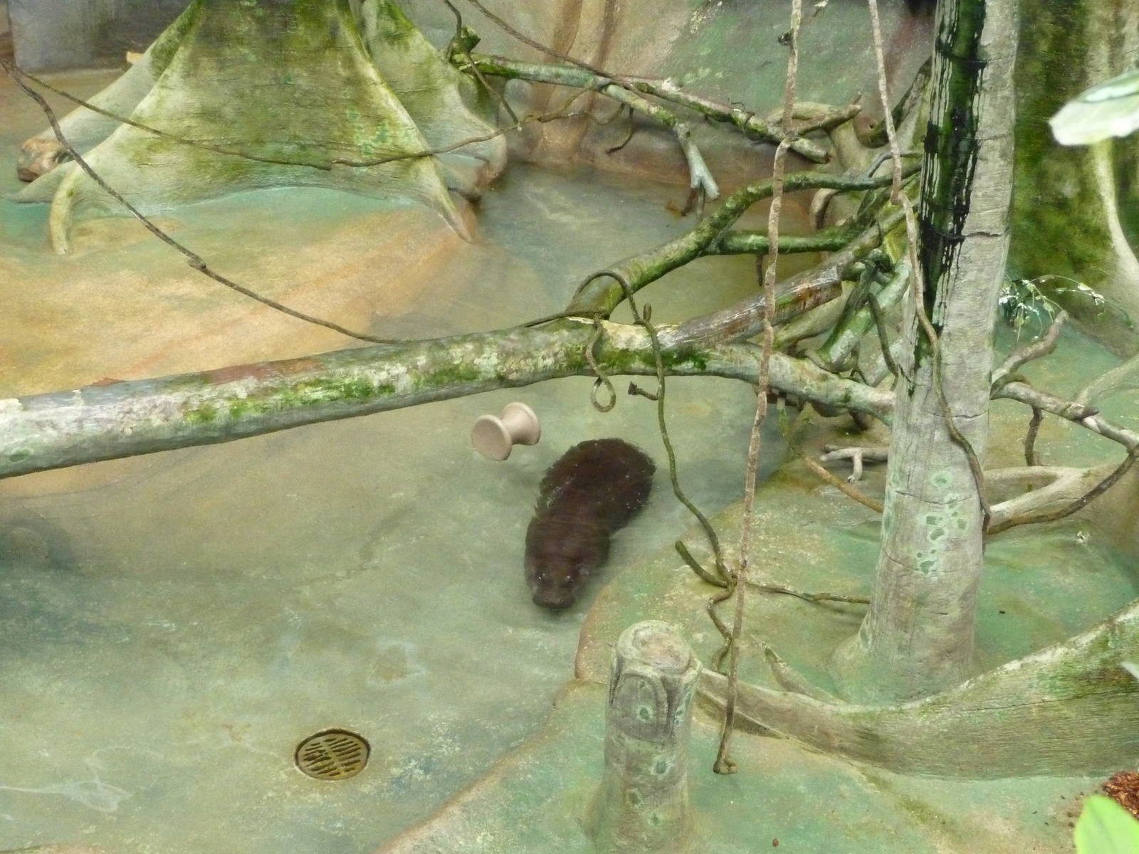 Brookfield Zoo - Tropic World