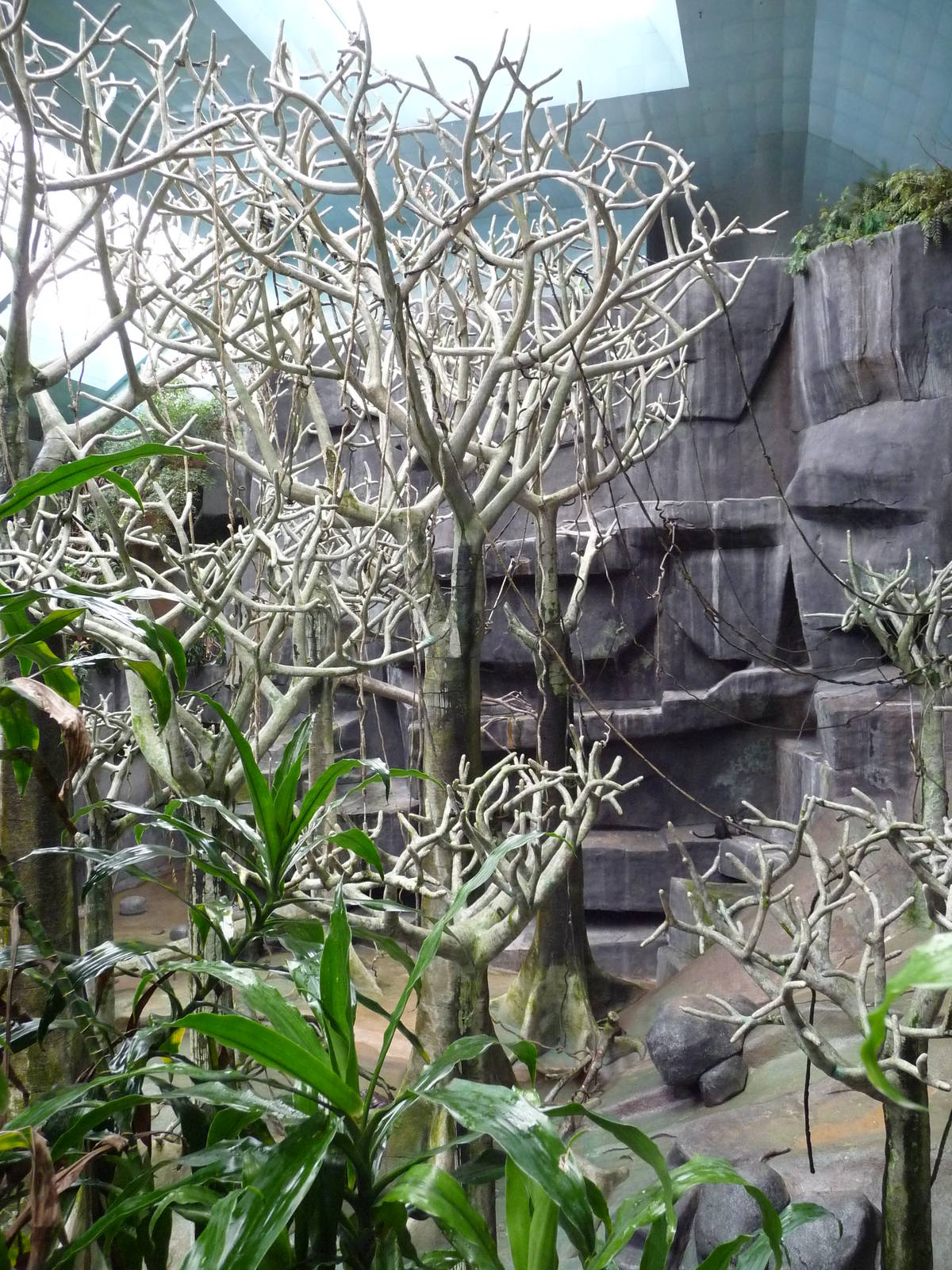 Brookfield Zoo - Tropic World