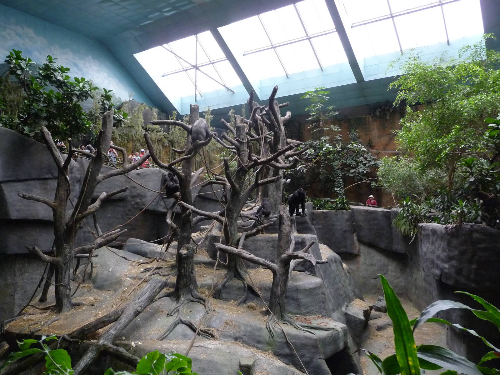 Brookfield Zoo - Tropic World