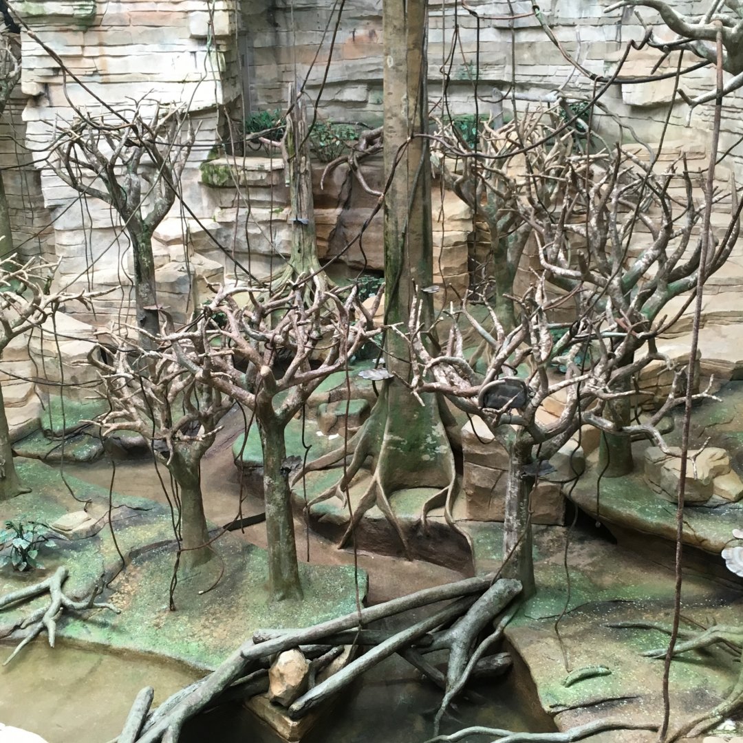 Brookfield Zoo's Large Exhibits!